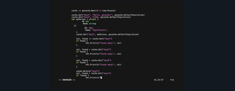 gocache demo preview